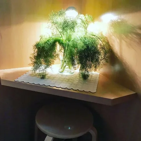 Guest Chiado Apartamento *